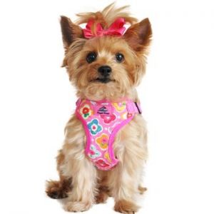 Wrap and Snap Harness